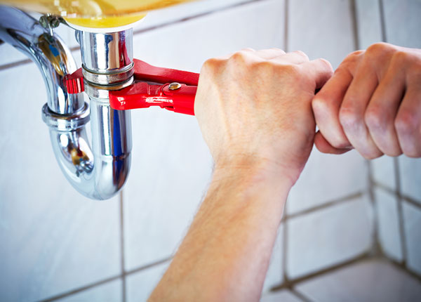 About Goldenrod Plumbers